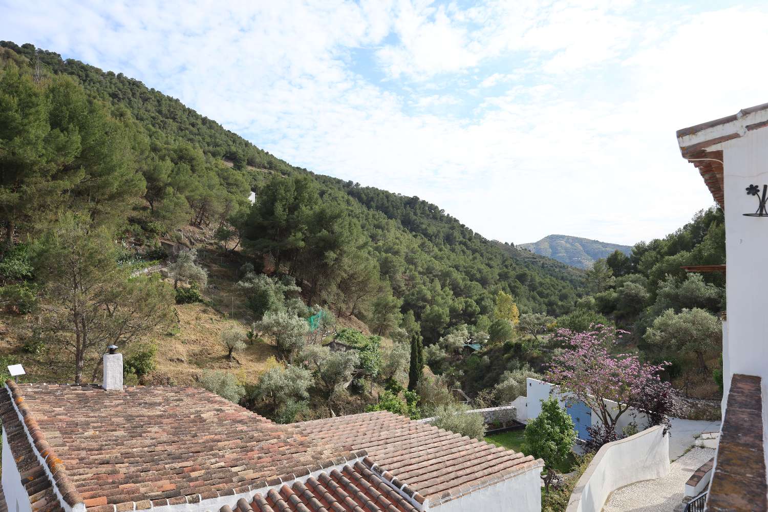 Woning te koop in Cómpeta