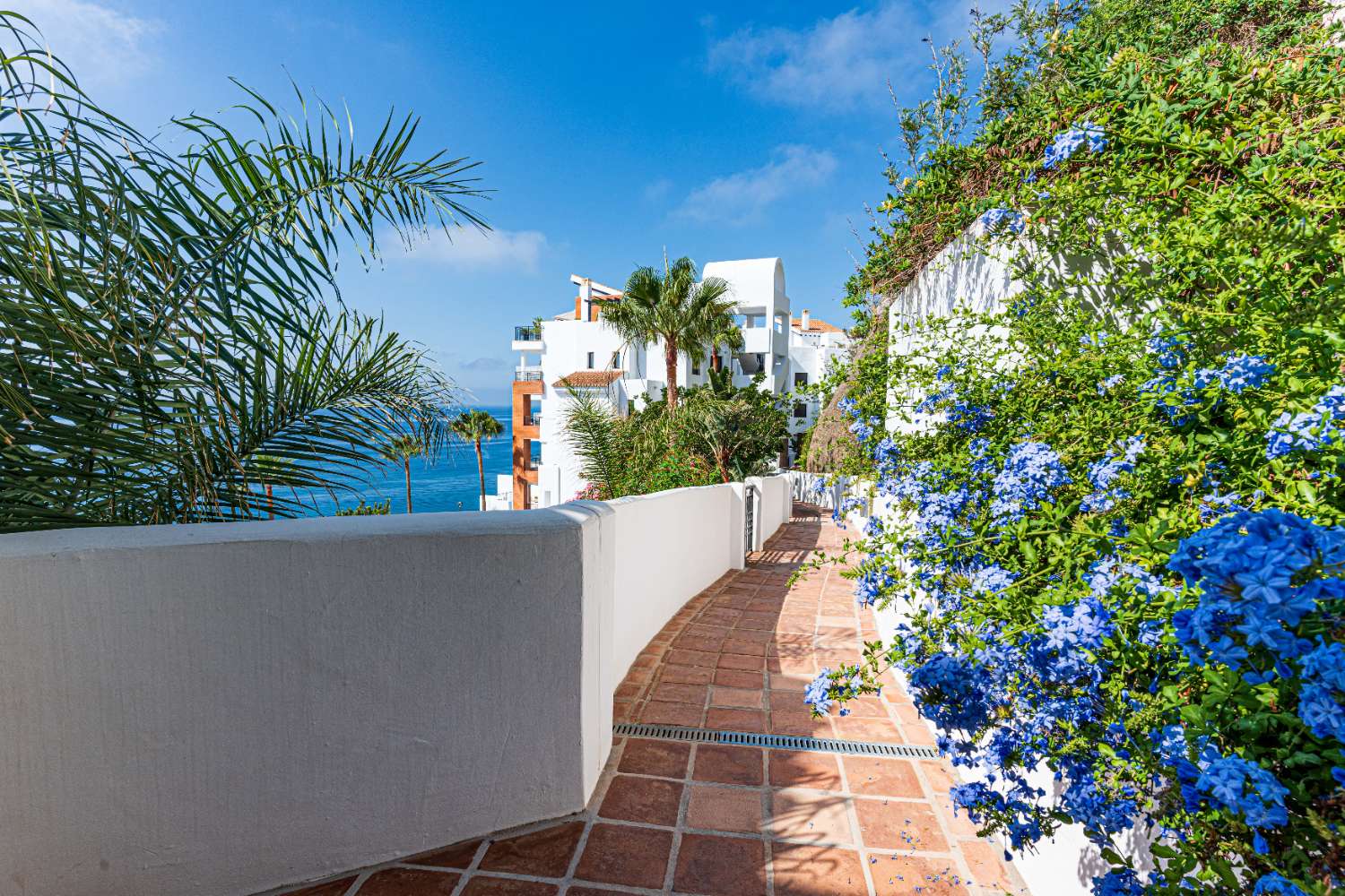 Petit Appartement en vente à Torrox Costa