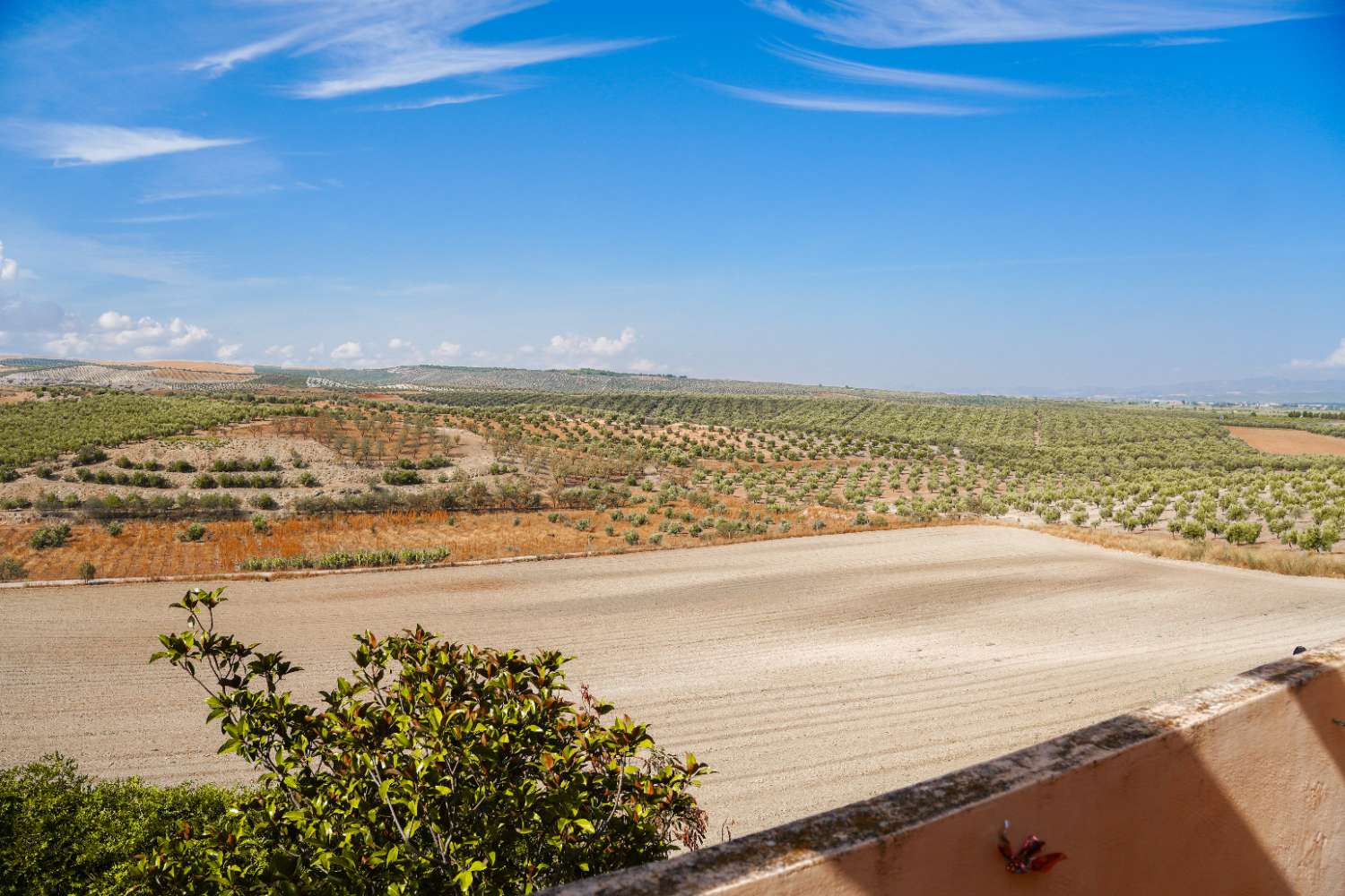Villa en venta en Cúllar Vega