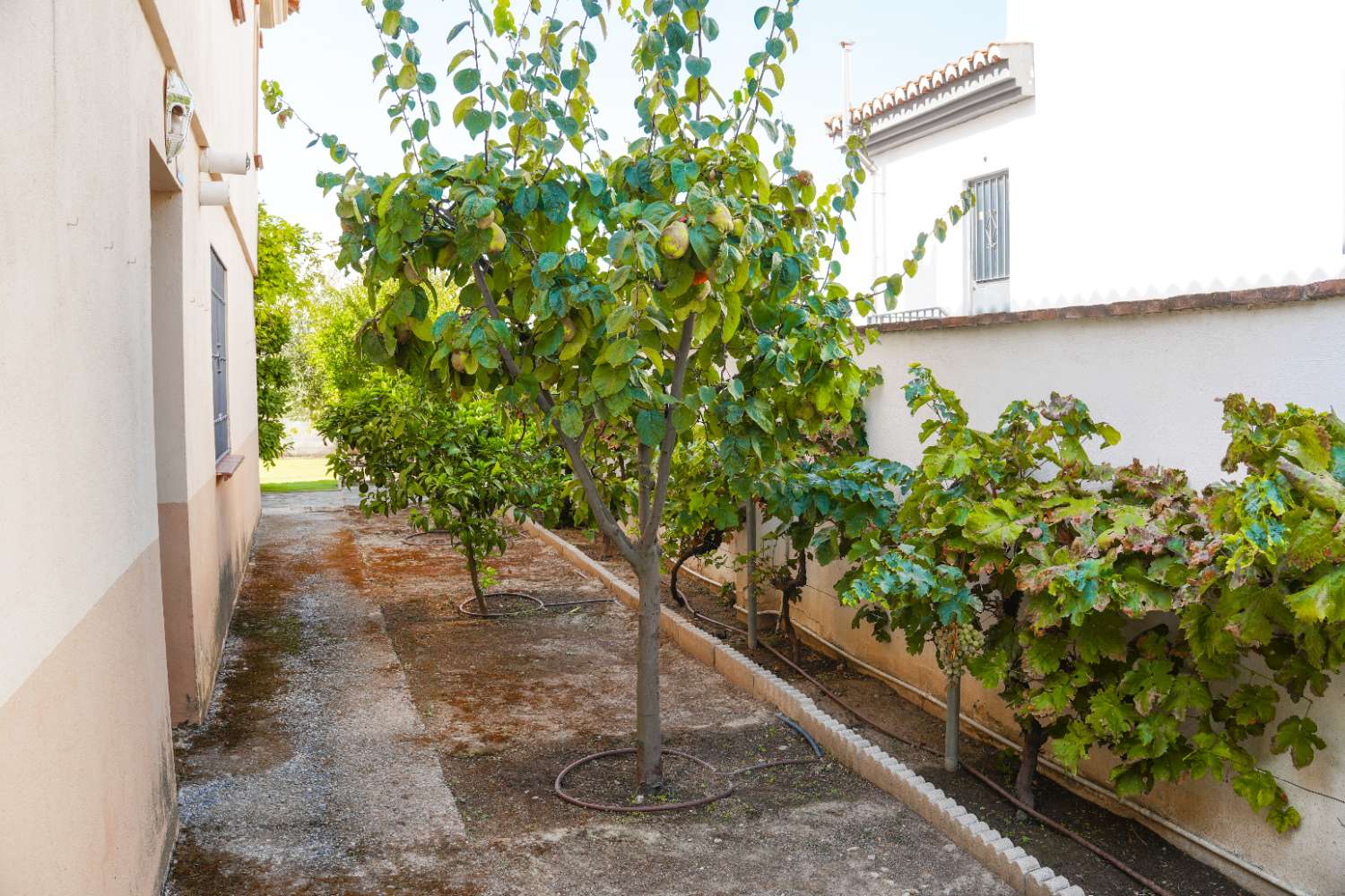 Villa en venta en Cúllar Vega