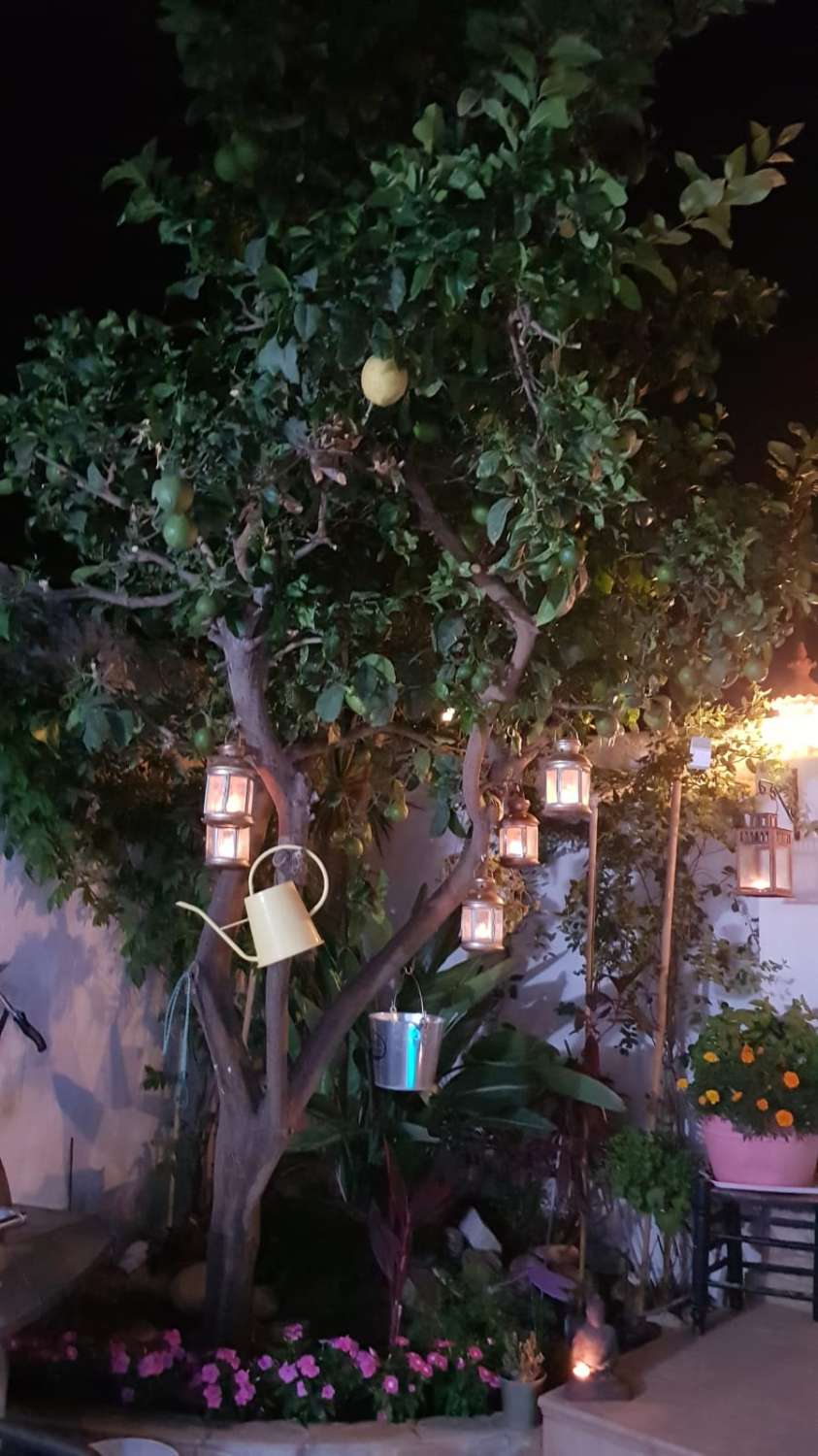 Petit Appartement en vente à Nerja
