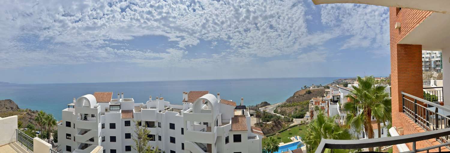 Petit Appartement en vente à Torrox