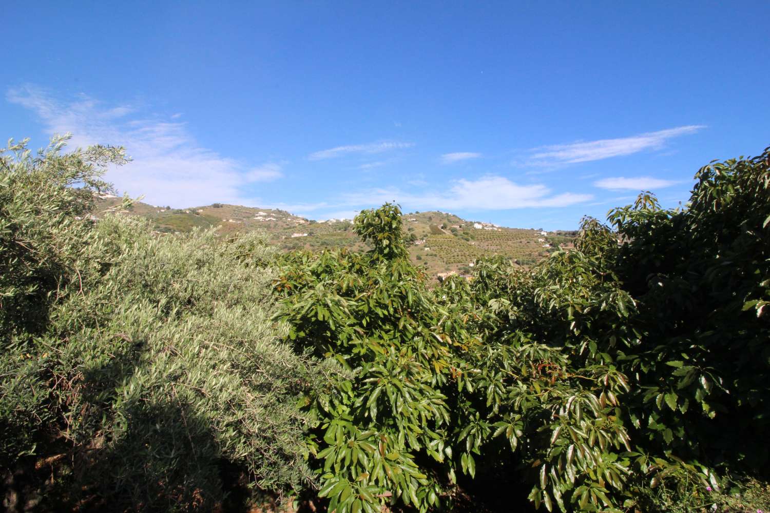 Maison en vente à Torrox