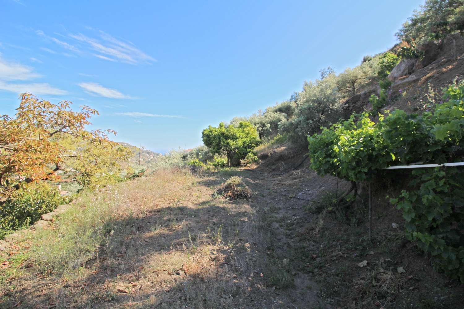 Maison en vente à Torrox