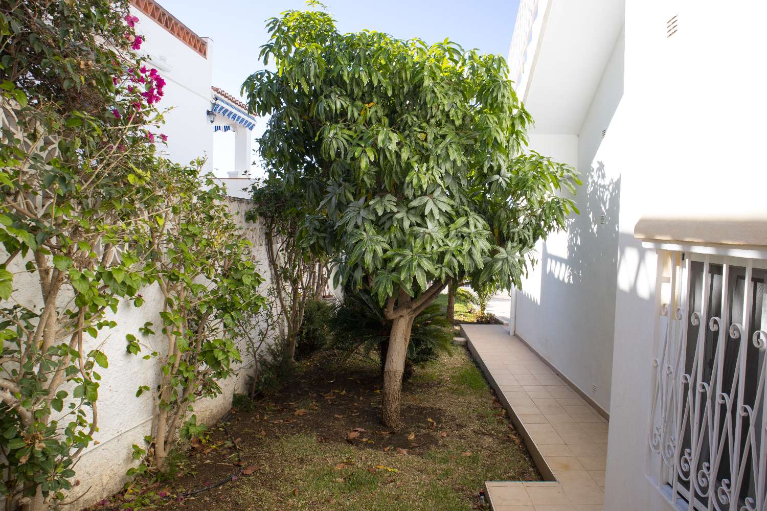 Villa zum verkauf in Maro (Nerja)