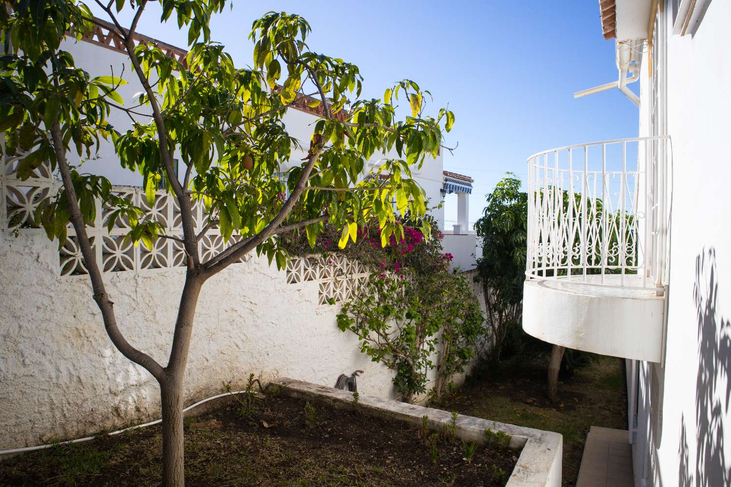 Villa zum verkauf in Maro (Nerja)