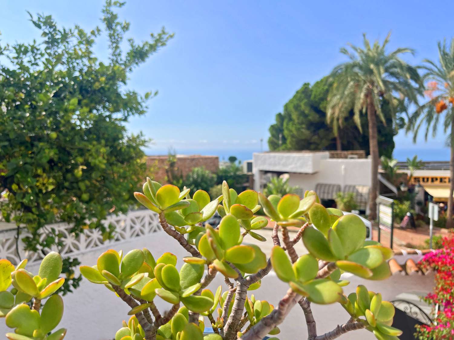 Petit Appartement en vente à Capistrano (Nerja)