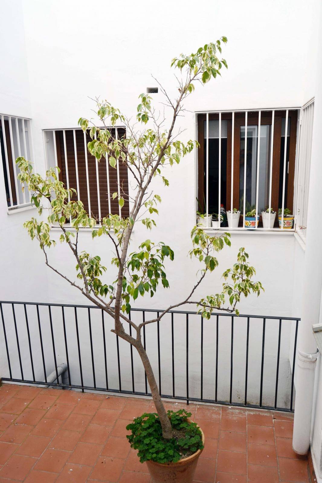 Woning te koop in Torrox