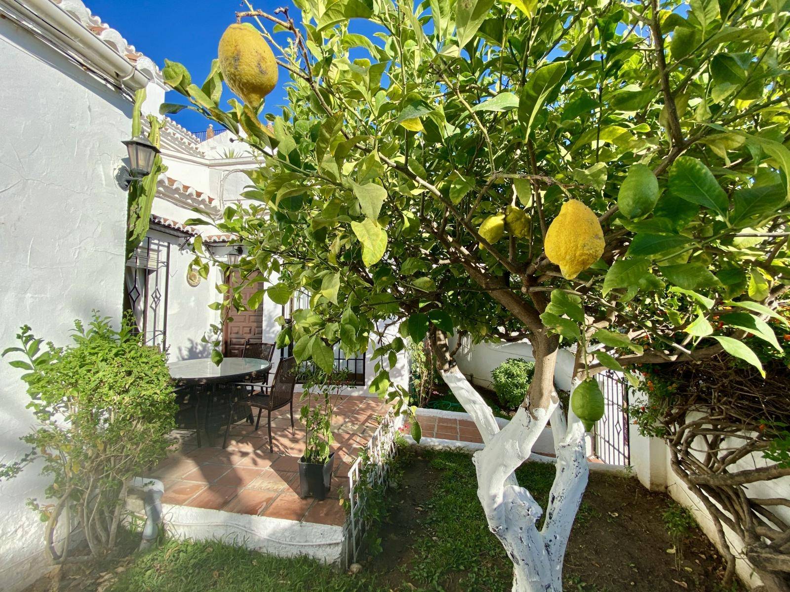 Appartment zum verkauf in Nerja