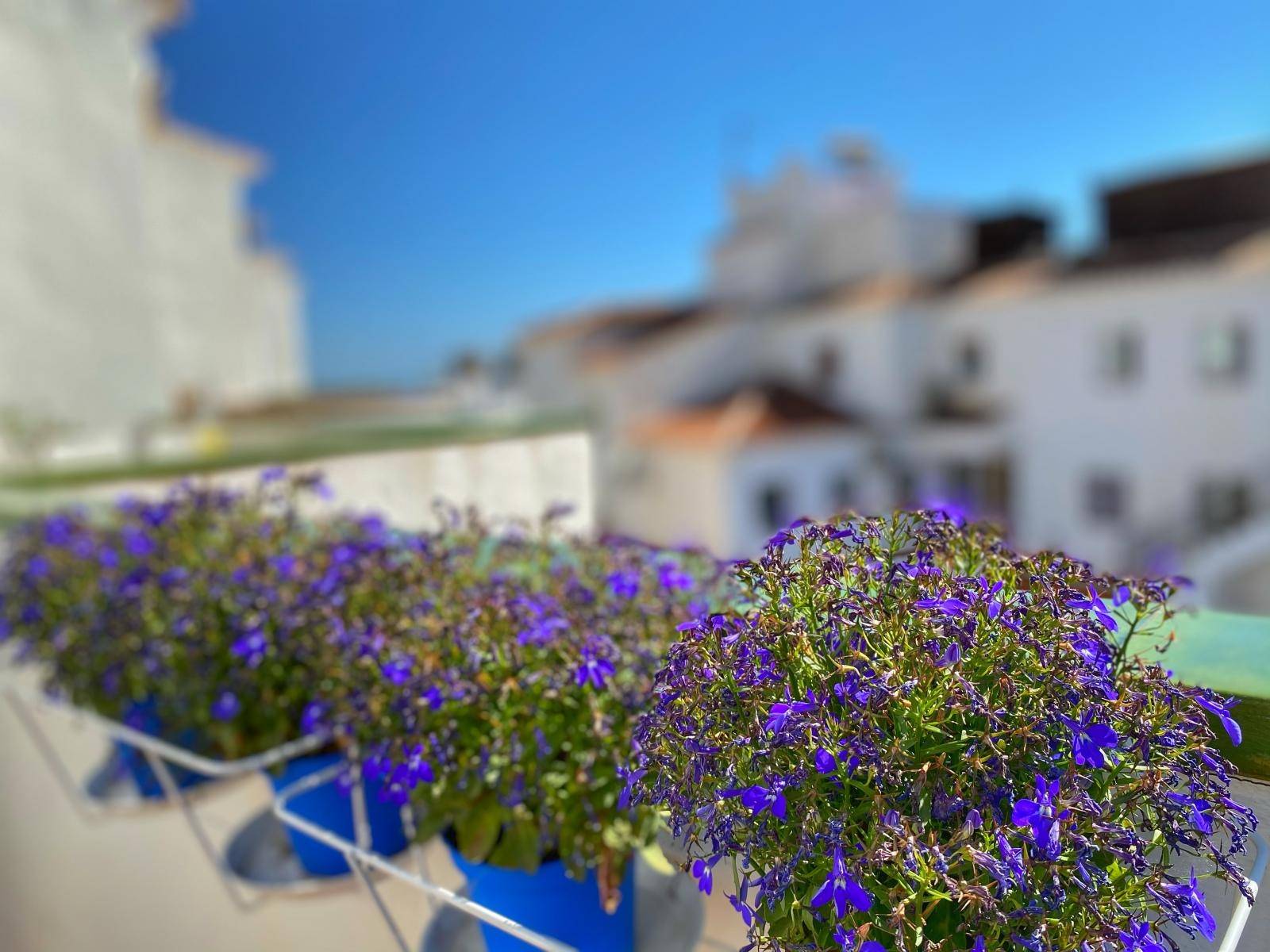 Appartment zum verkauf in Nerja